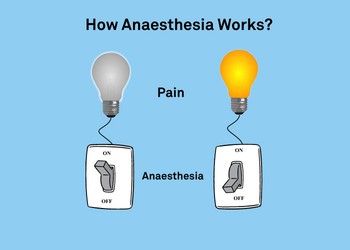 Anesthesia-mechanism-of-action