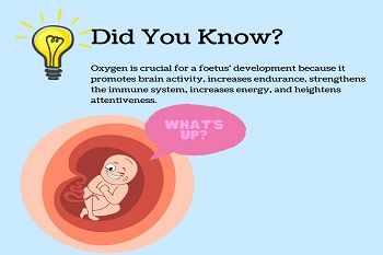 impact-of-oxygen-on-foetal-development