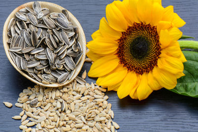 sunflower seeds