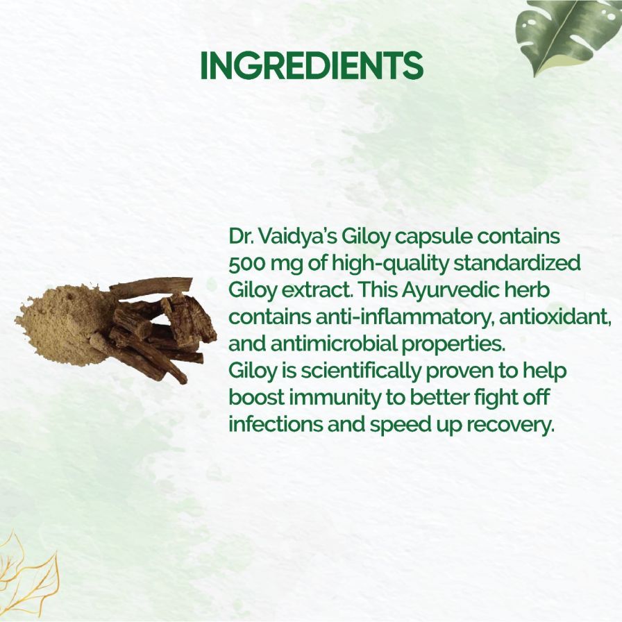 Dr. Vaidya's Giloy Immunity Enhancer, 60 Capsules (2 x 30 Capsules), Pack of 1 