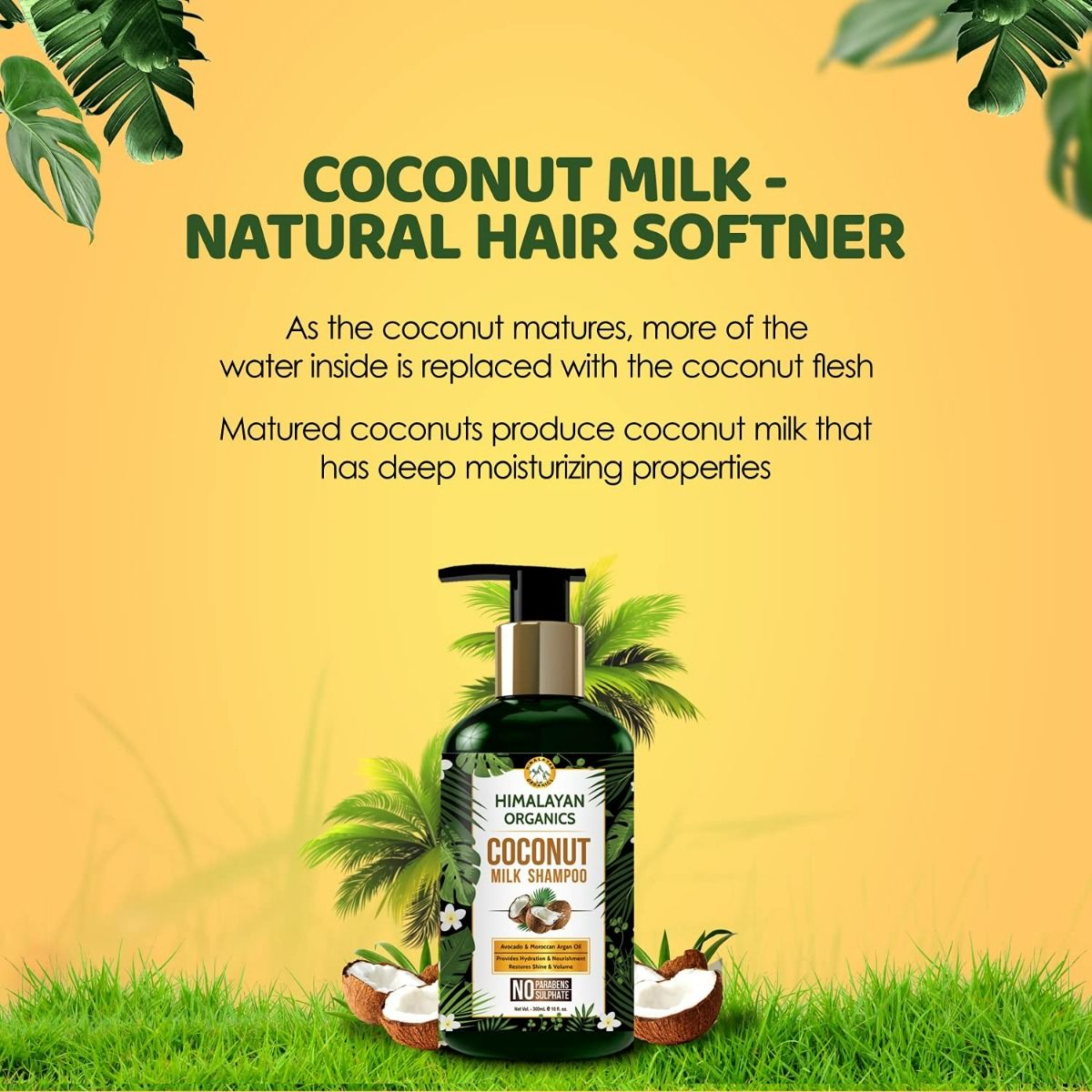 Himalayan Organics Coconut Milk Shampoo, 300 ml, Pack of 1 