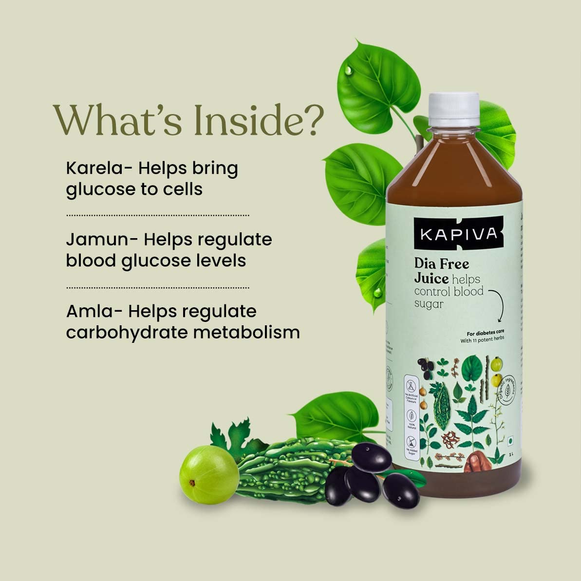 Kapiva Dia Free Juice, 1 L Price, Uses, Side Effects, Composition