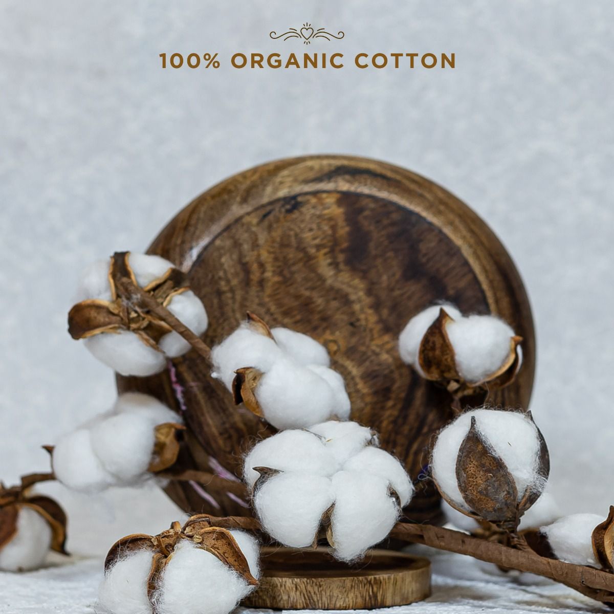 Pee Safe 100% Organic Cotton Biodegradable Regular Sanitary Pads, 10 Count, Pack of 1 