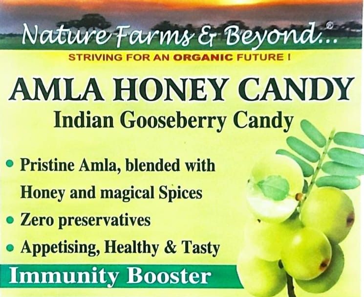 Amla Honey Candy, 500 gm, Pack of 1 
