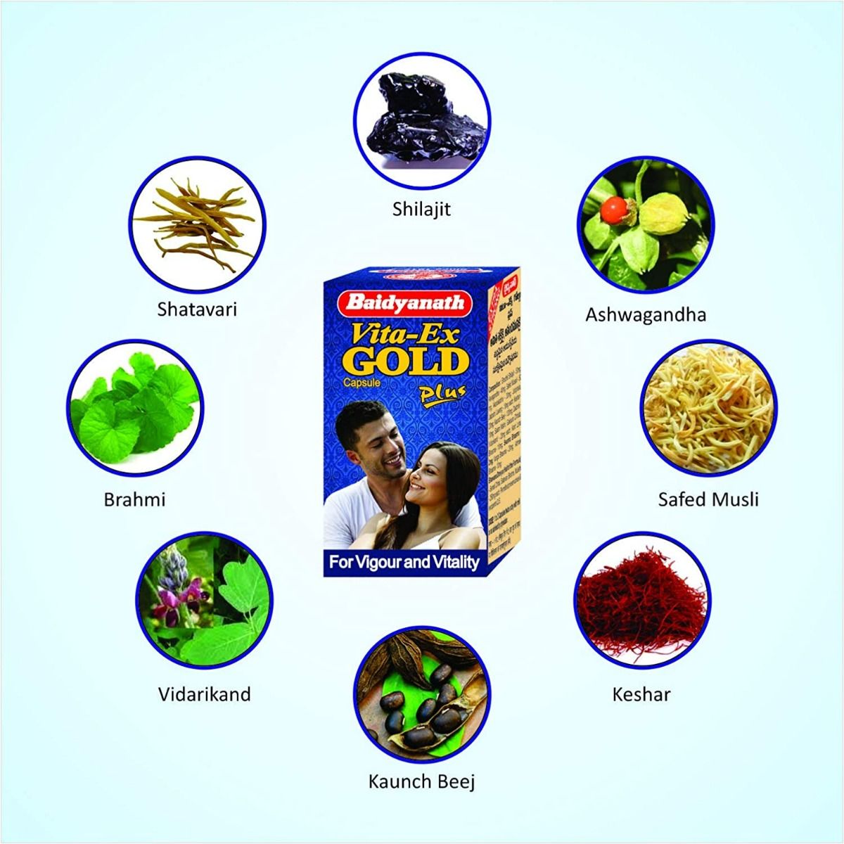 Baidyanath Vita-Ex Gold Plus, 10 Capsules, Pack of 1 