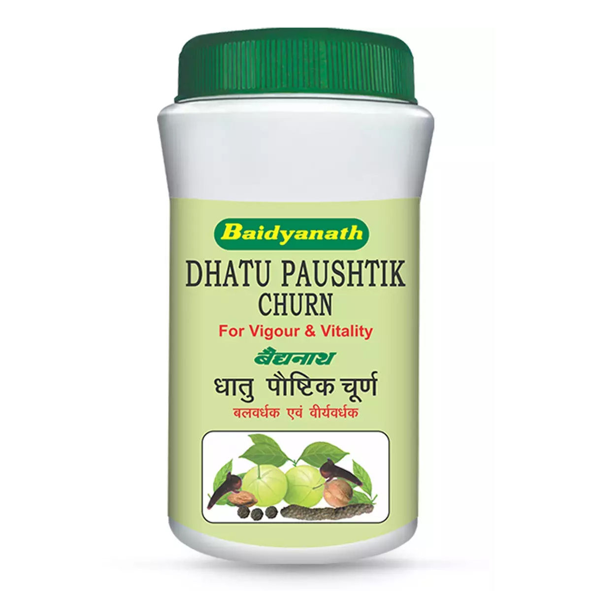 Baidyanath Dhatu Paushtik Churn, 100 gm, Pack of 1 