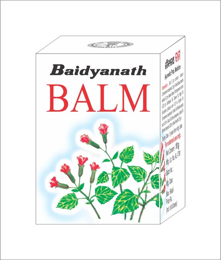 Baidyanath Balm, 10 gm, Pack of 1 