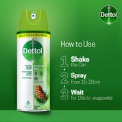 Dettol Original Pine Disinfectant Spray, 170 gm, Pack of 1 