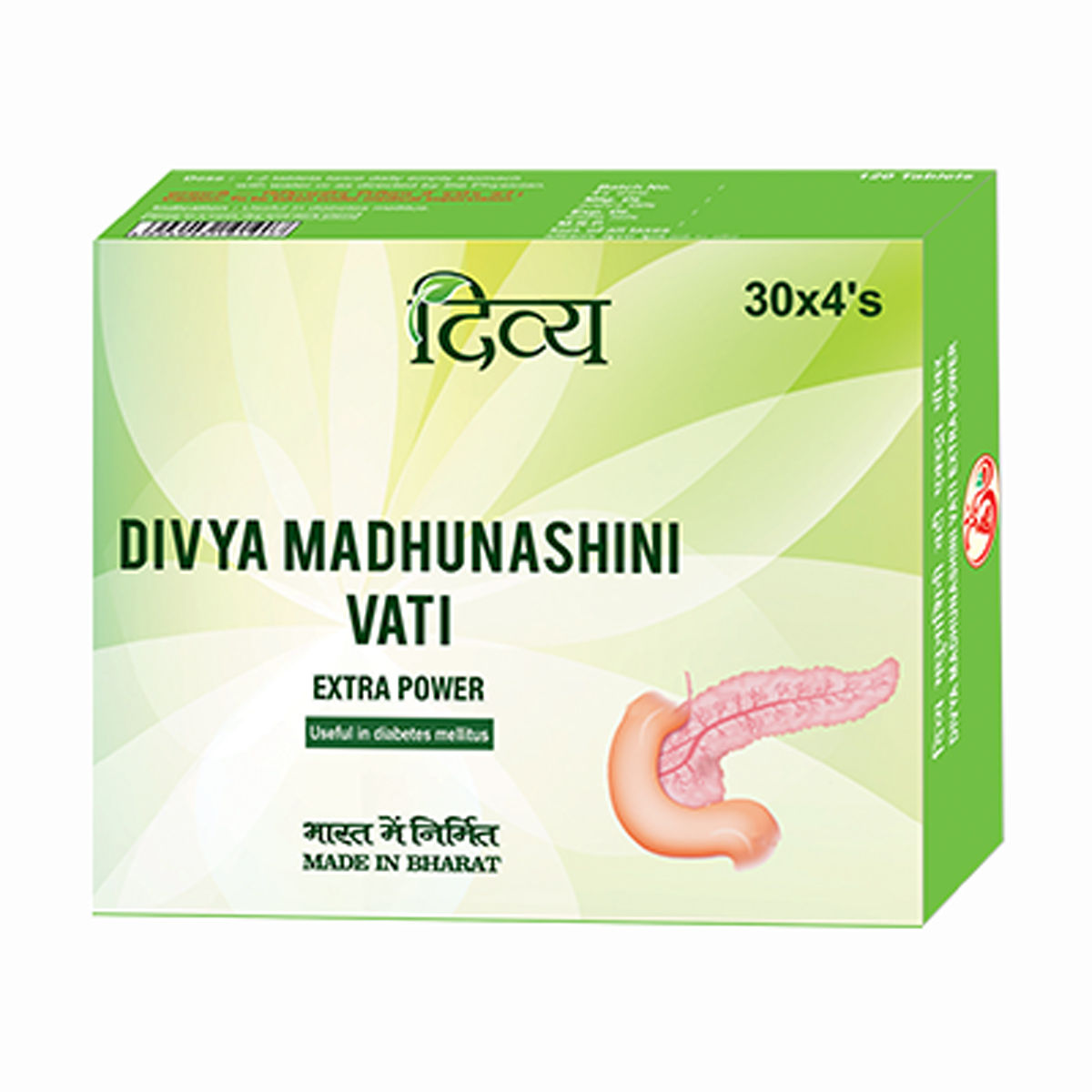 Patanjali Divya Madhunashini Vati Extra Power, 120 Tablets, Pack of 1 