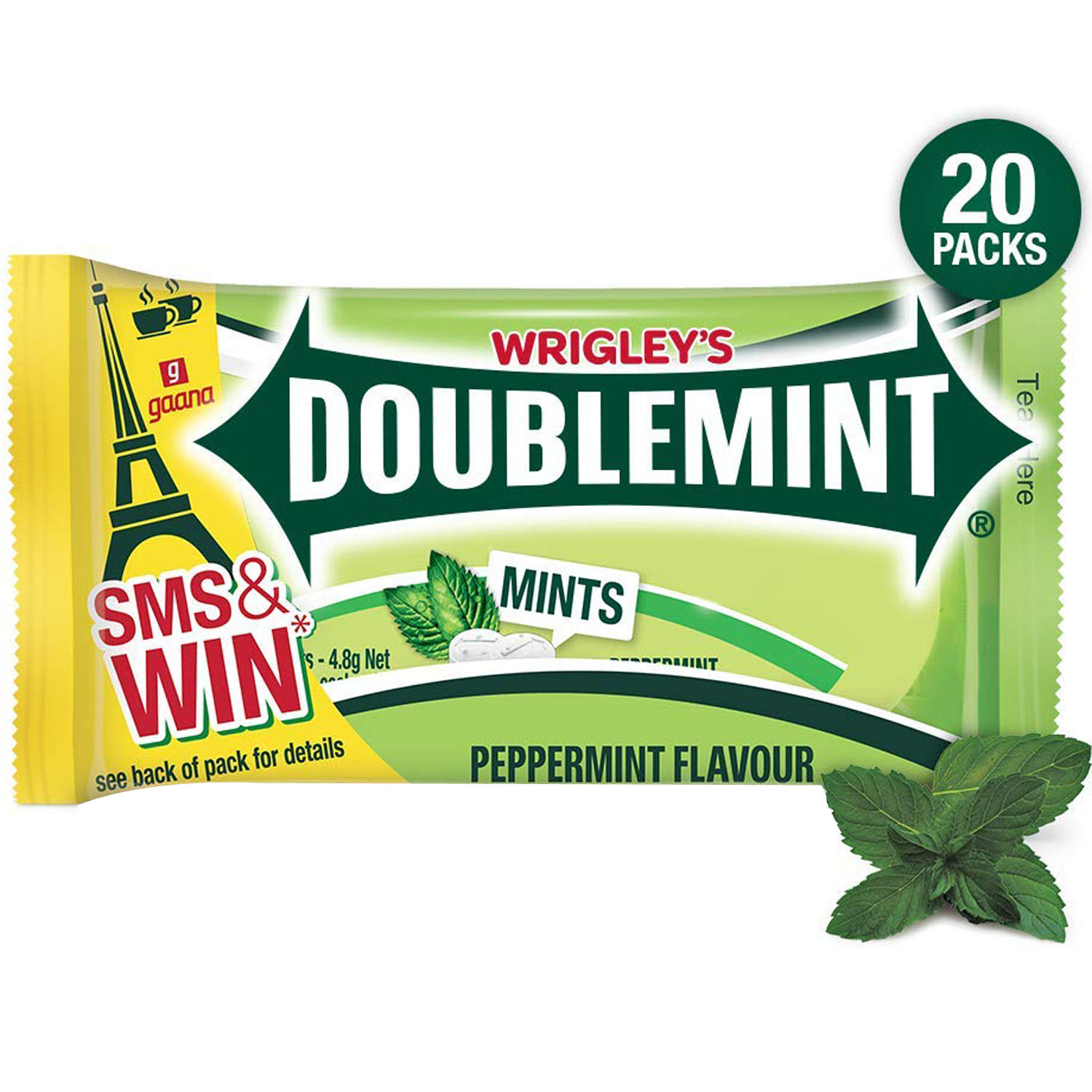 DoubleMint Peppermint Flavour Mints, 20 Count, Pack of 1 