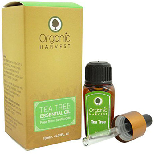 Organic Harvest Tea Tree Essential Oil, 10 ml, Pack of 1 