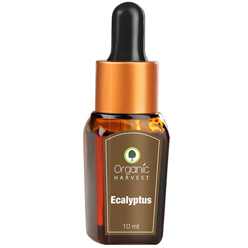 Organic Harvest Ecalyptus Essential Oil, 10 ml, Pack of 1 
