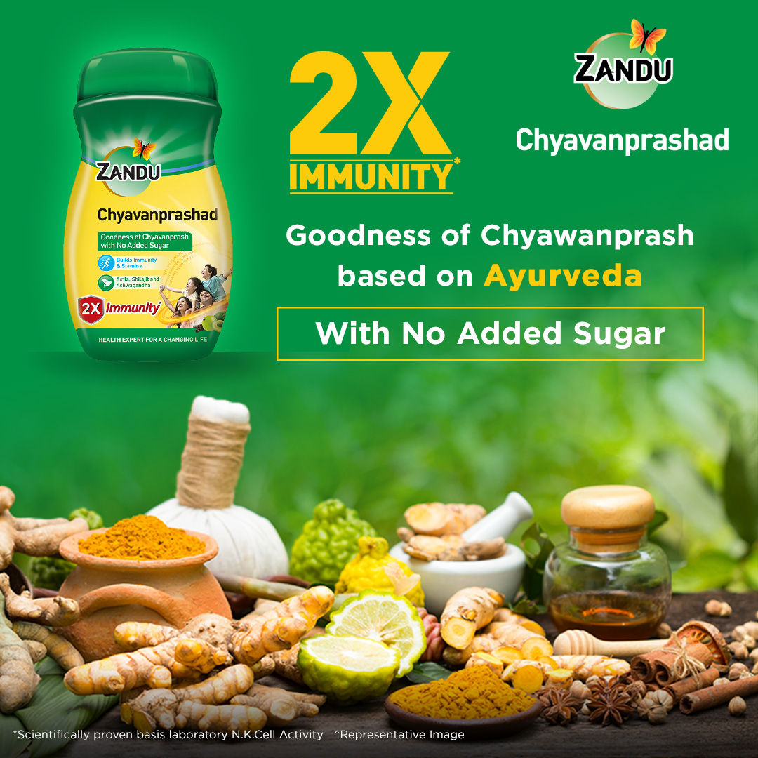 Zandu Sugar Free Chyavanprashad, 900 gm, Pack of 1 