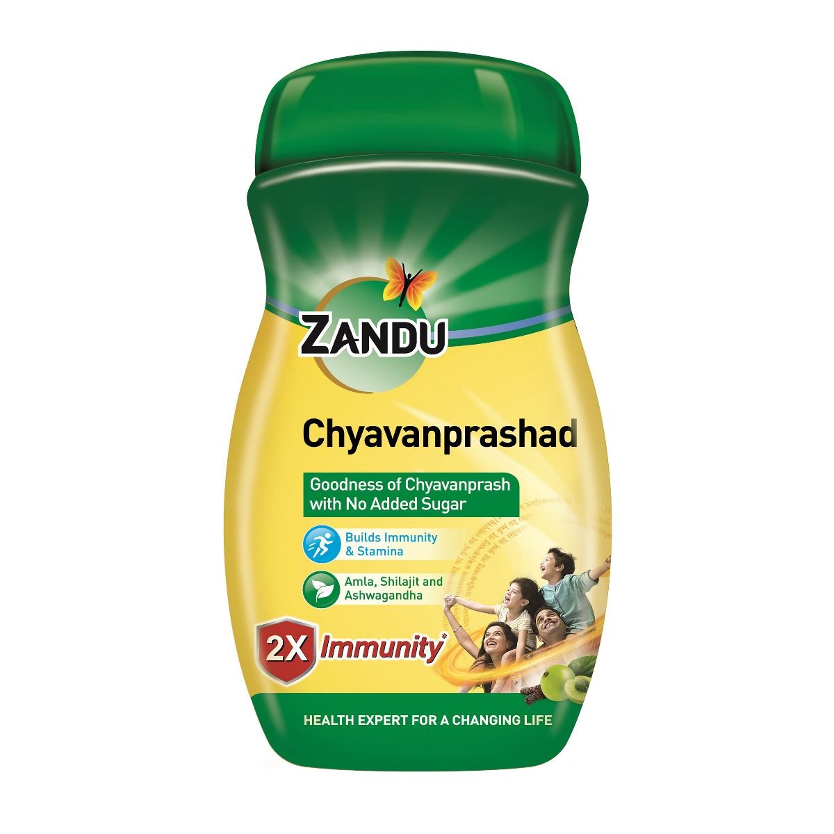 Zandu Sugar Free Chyavanprashad, 450 gm, Pack of 1 