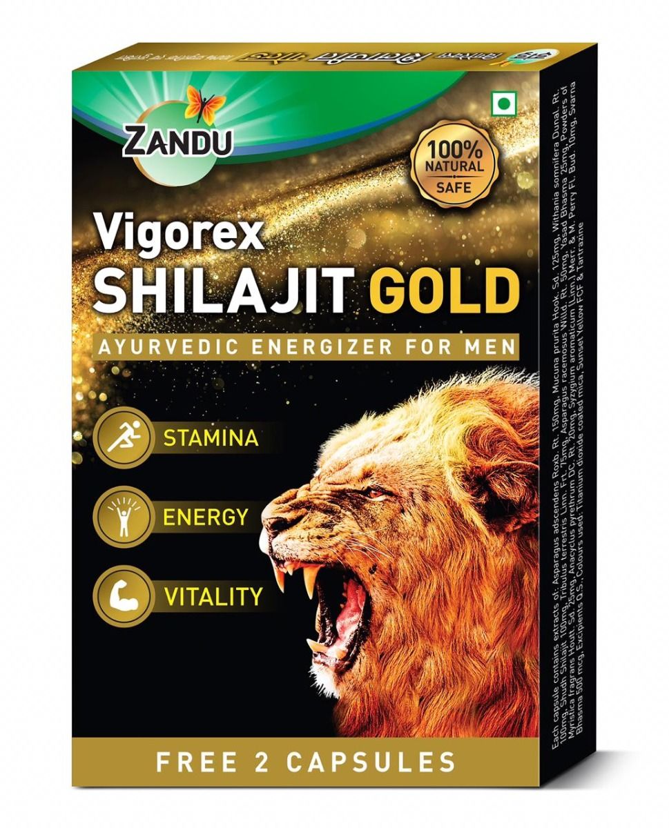 Zandu Vigorex Gold 20 Tabletten Für Vitalität Kräuter Ayurveda