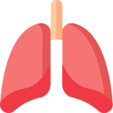 Online Doctor Consultation - Pulmonology/ Respiratory Medicine